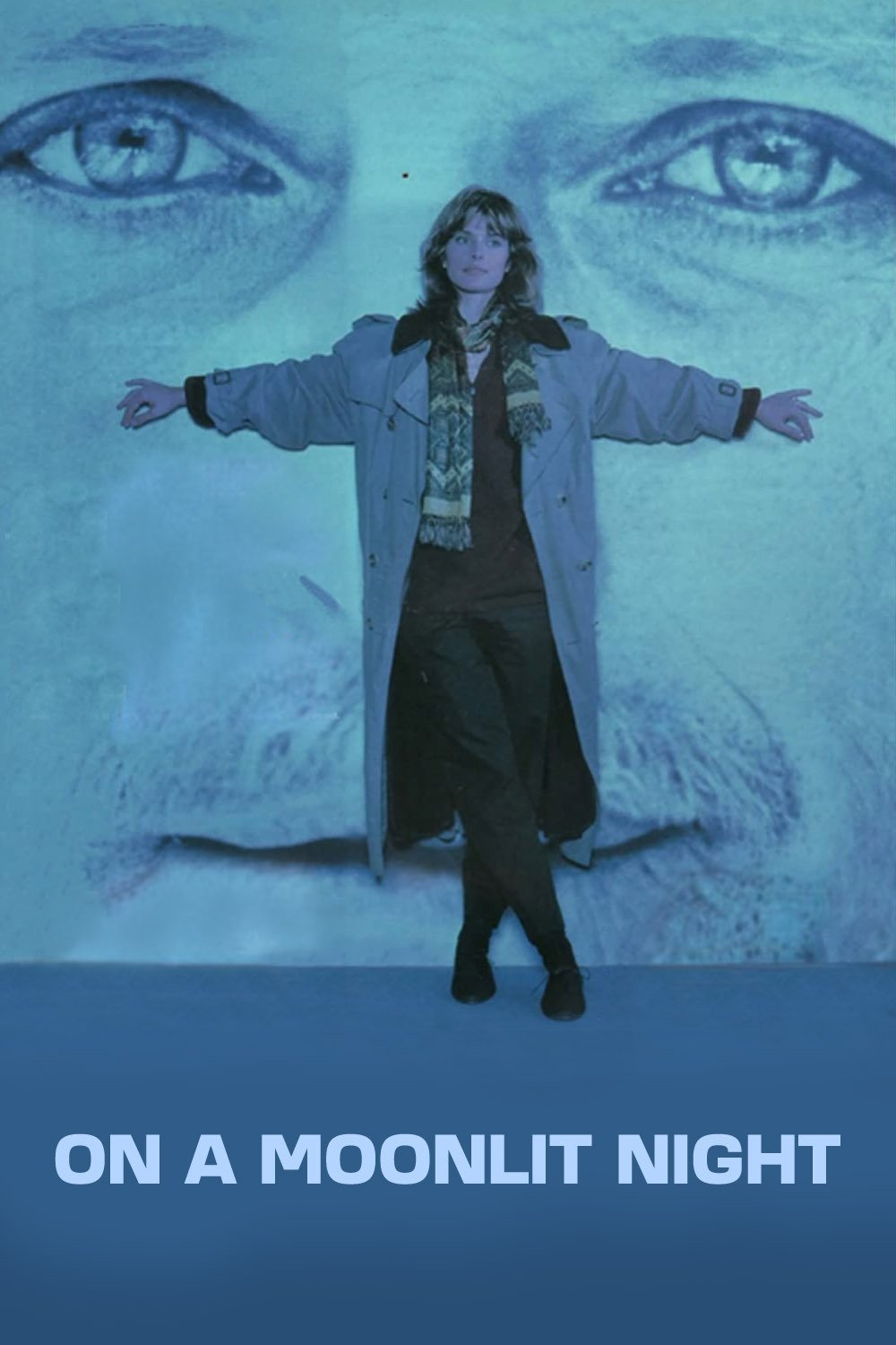 On a Moonlit Night photo