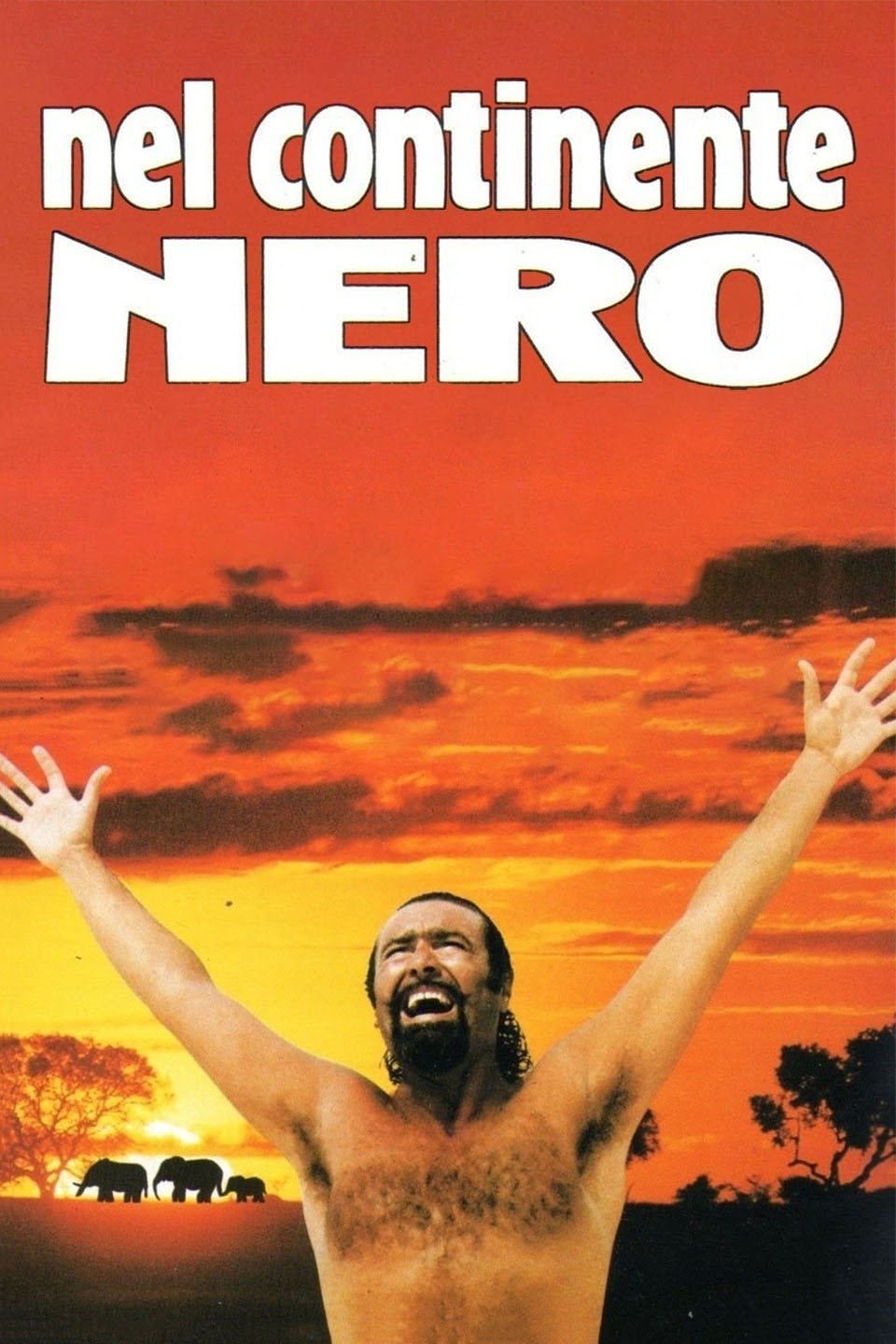 On the Dark Continent photo