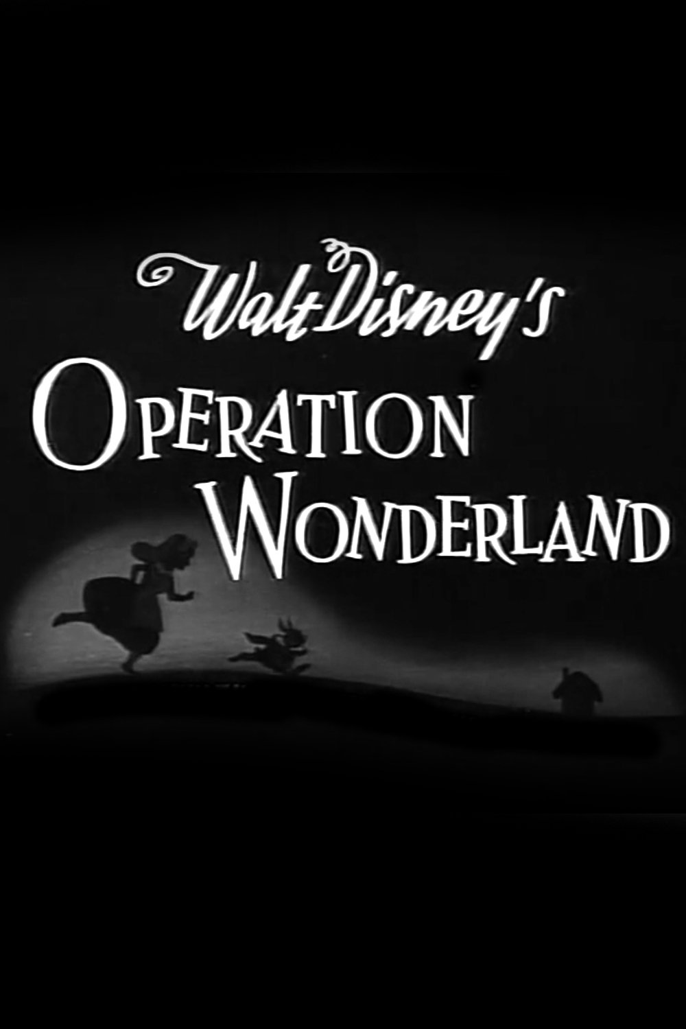 Operation Wonderland photo