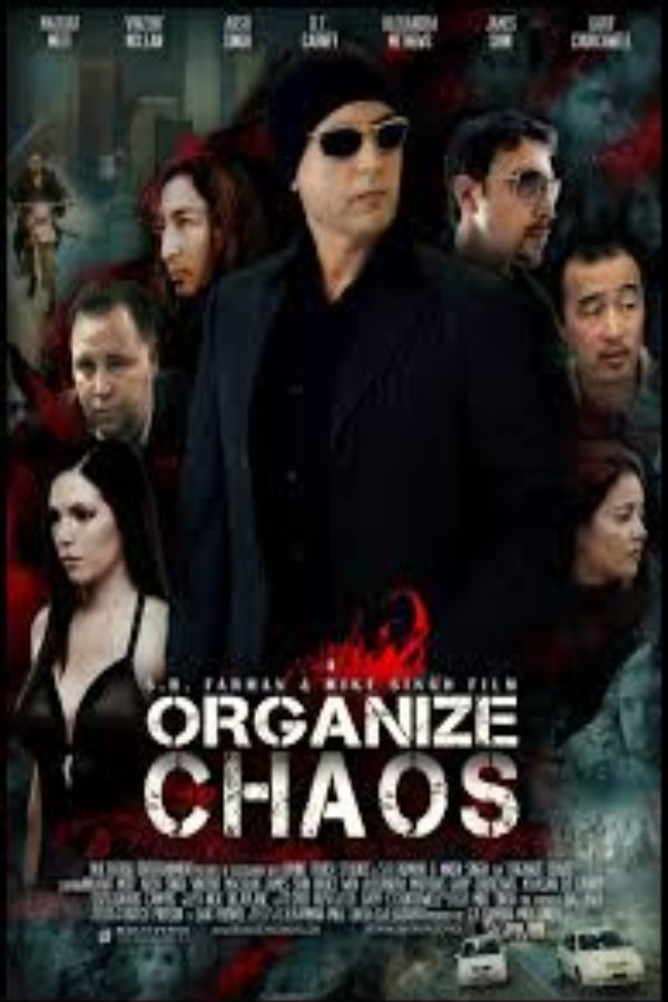 Organize Chaos photo