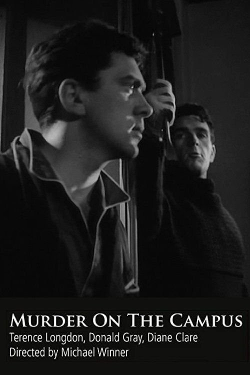 Out of the Shadow photo