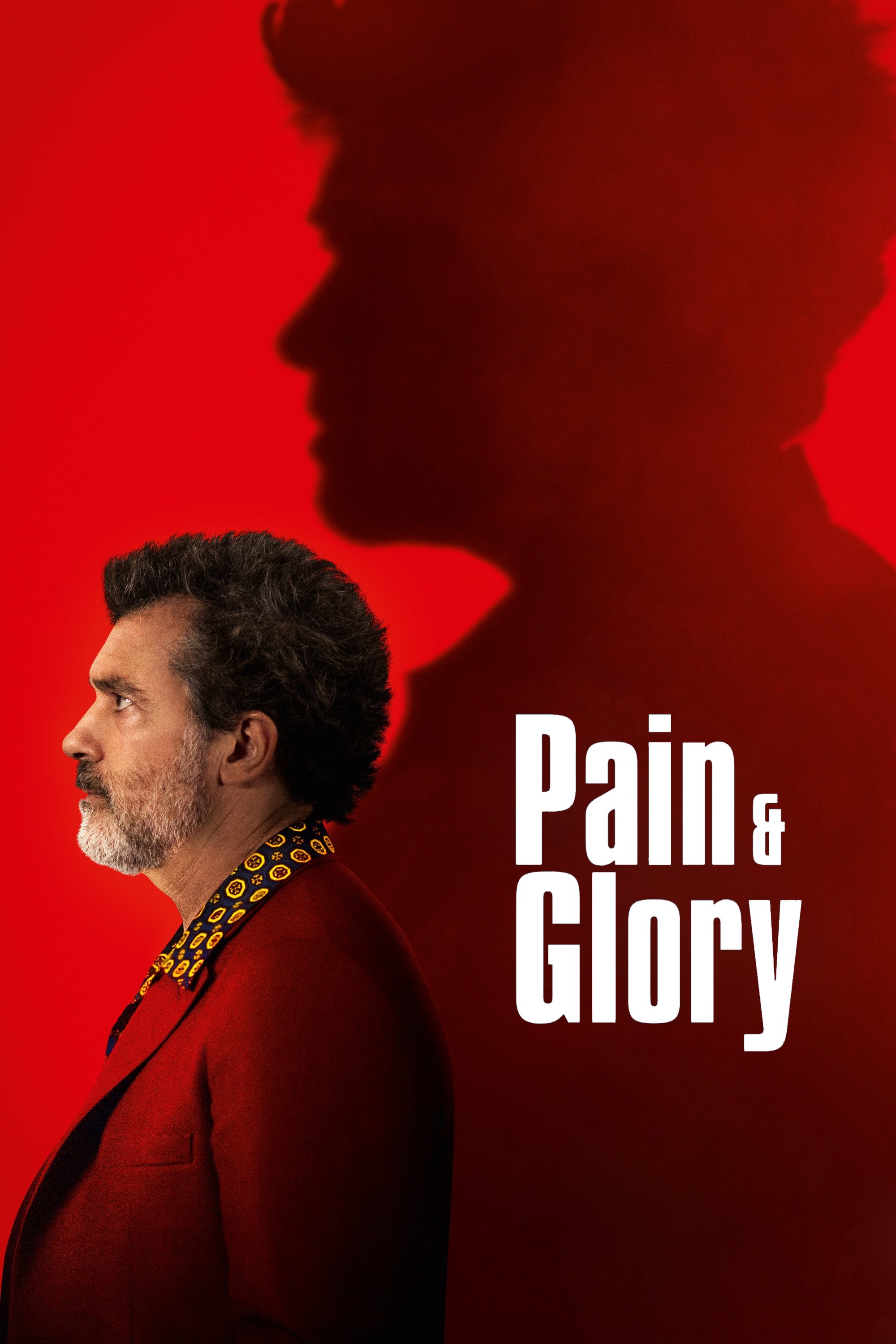 Pain and Glory photo