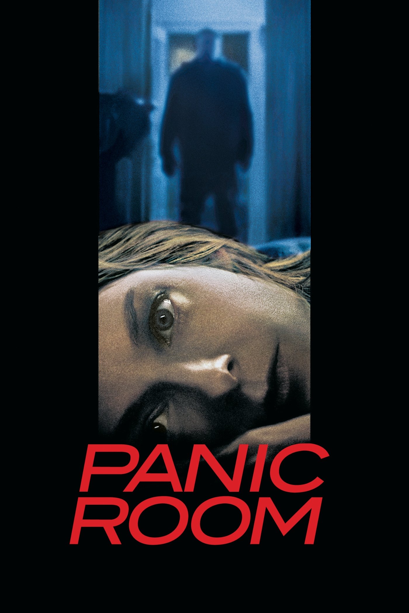 Panic Room photo