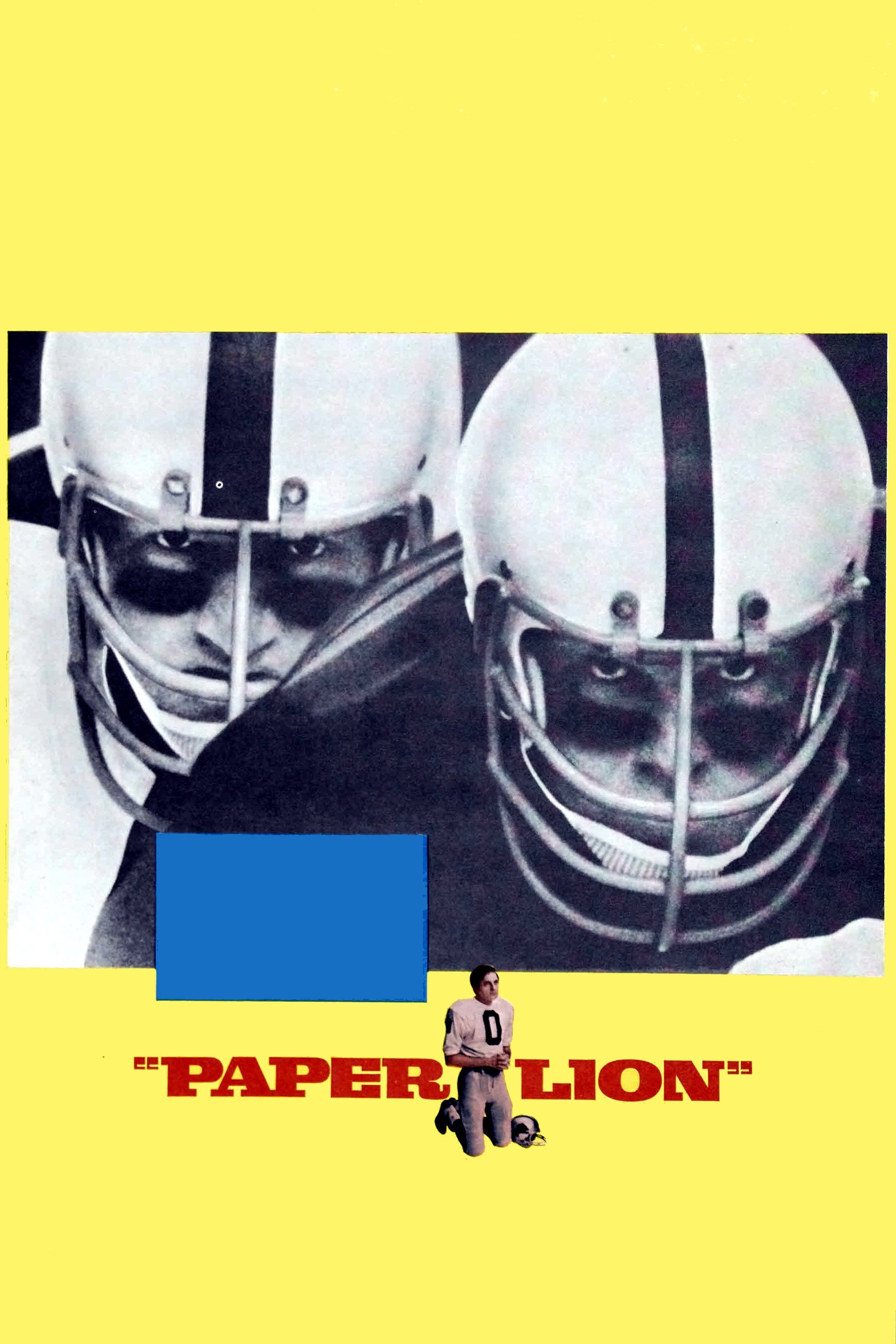 Paper Lion photo