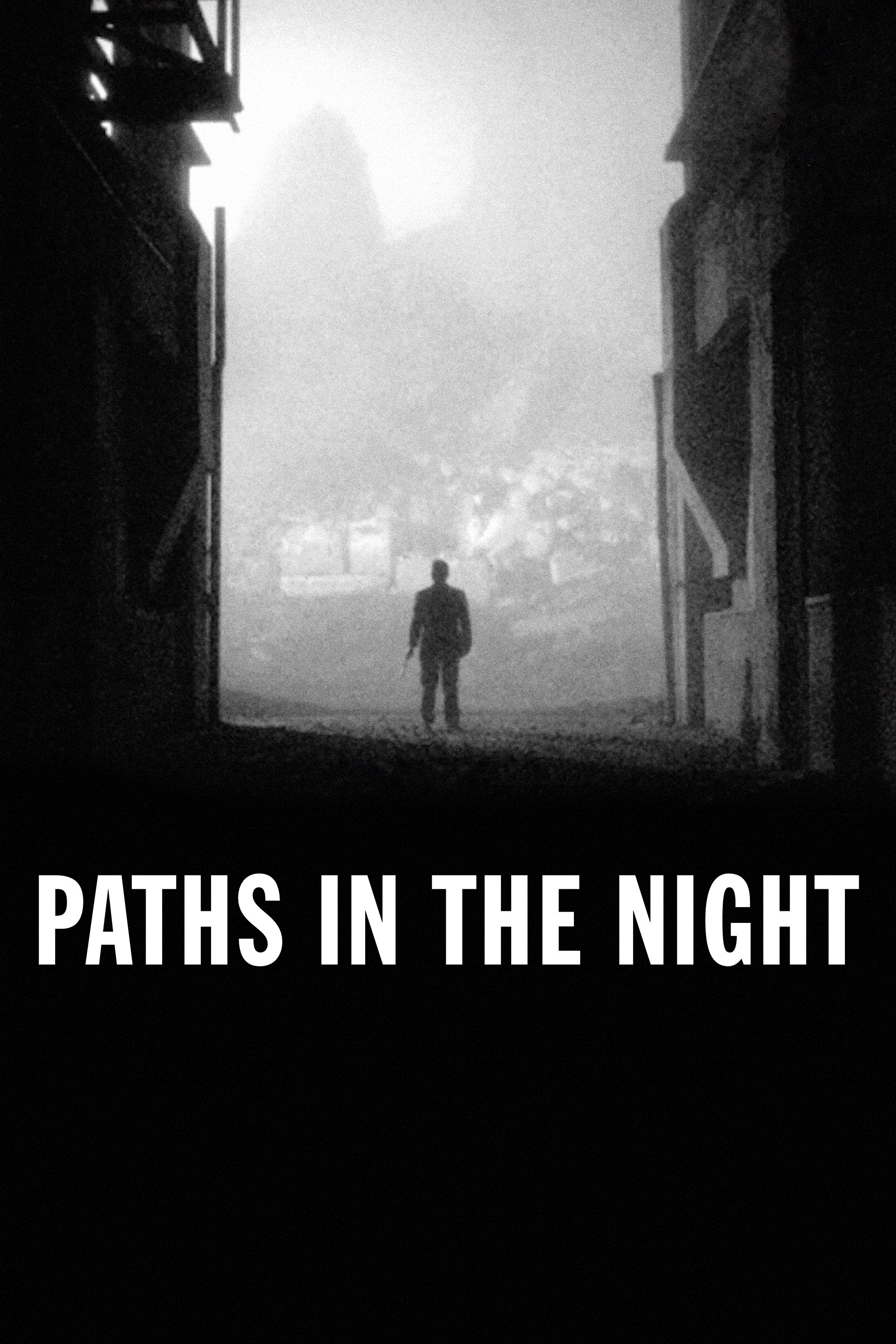 Paths in the Night photo