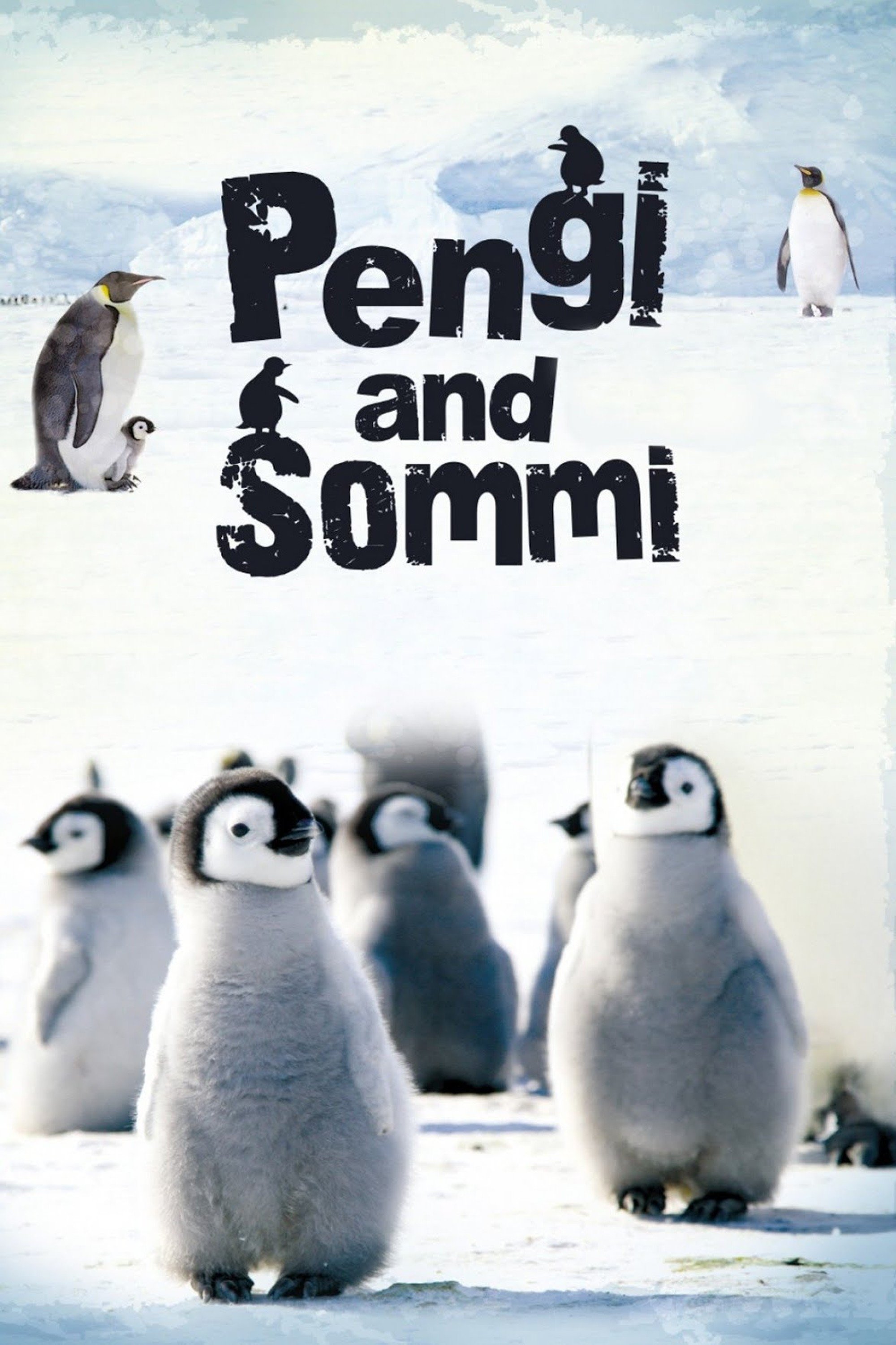 Pengi and Sommi photo