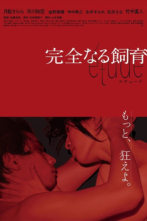 Perfect Education: étude photo