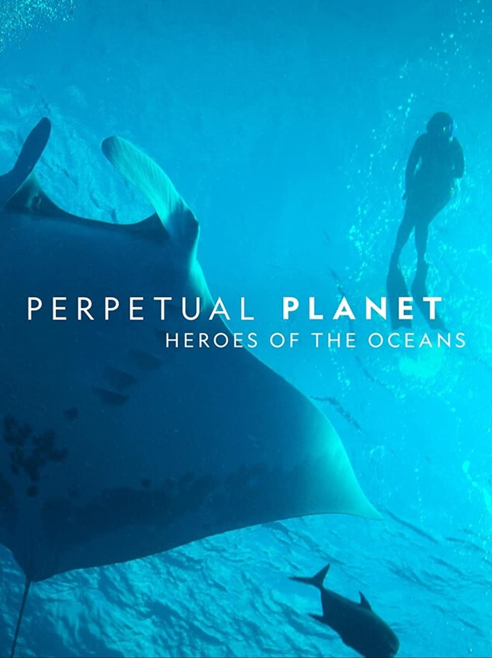Perpetual Planet: Heroes of the Oceans photo