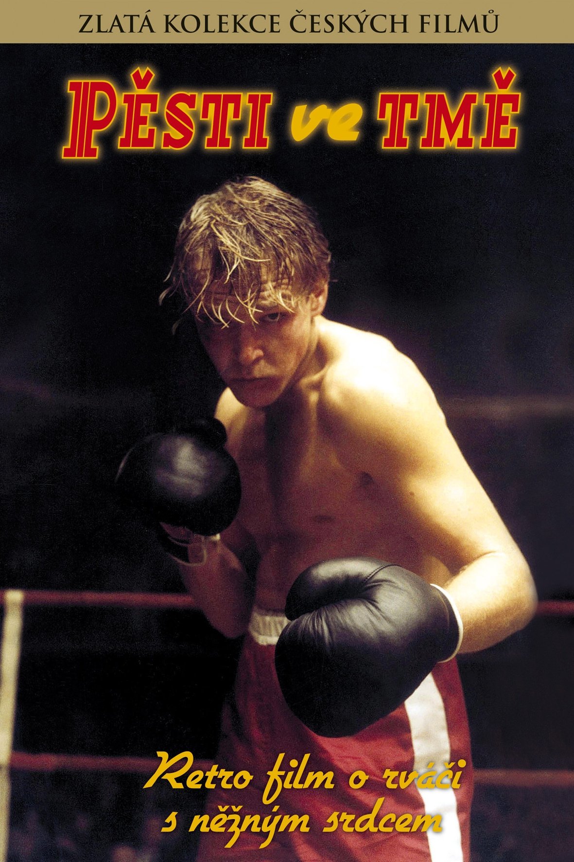 Pěsti ve tmě photo