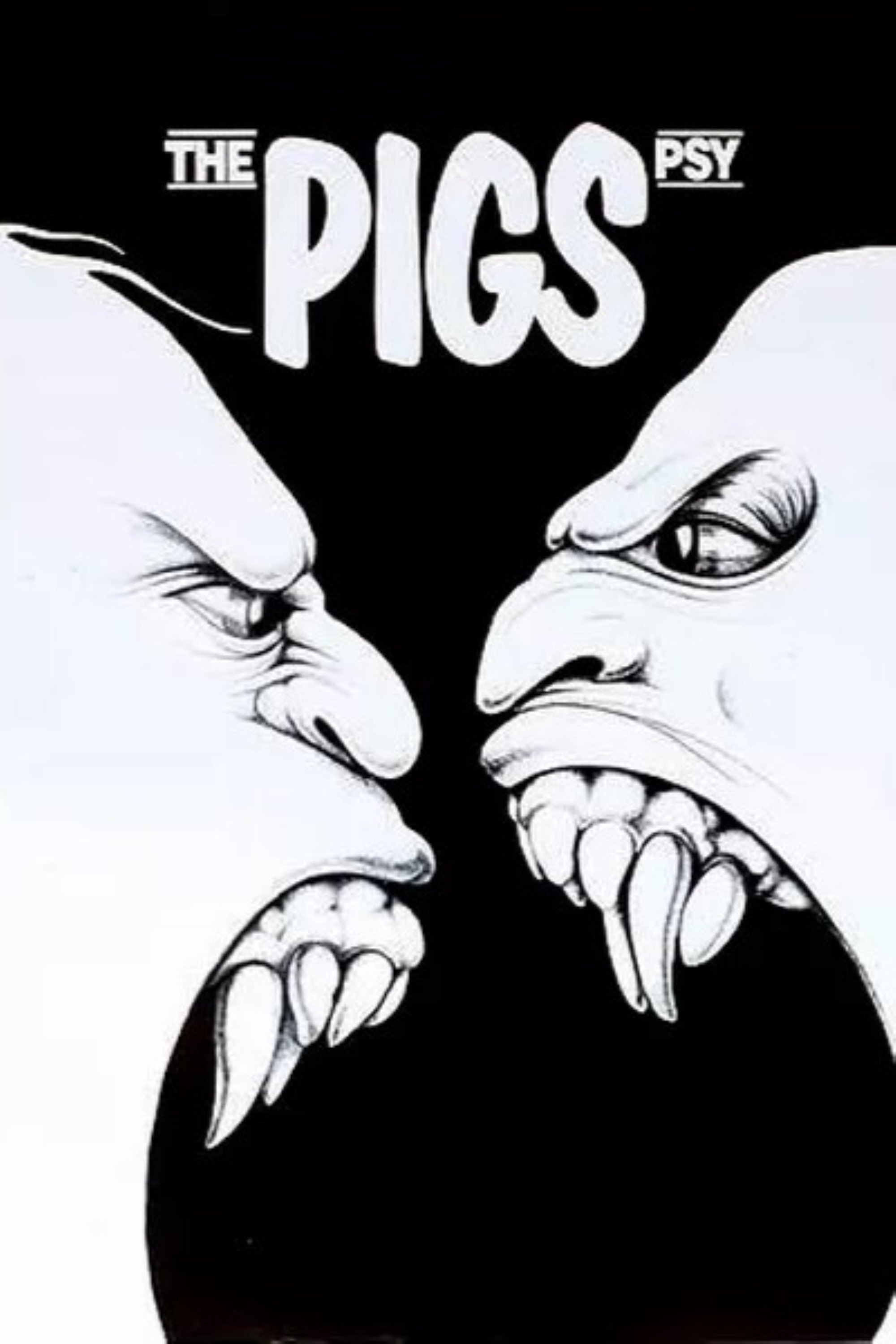 Pigs photo