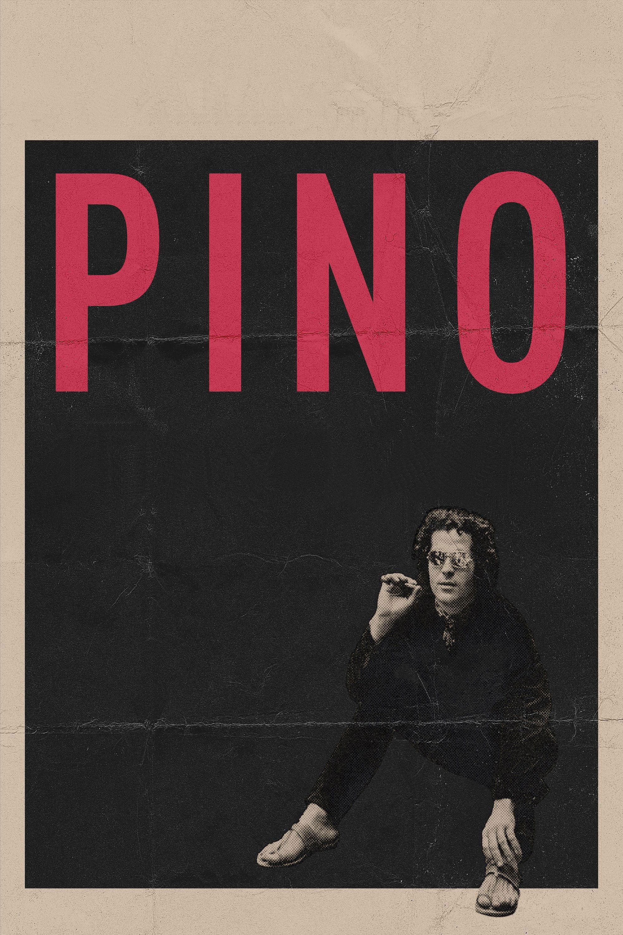 Pino photo
