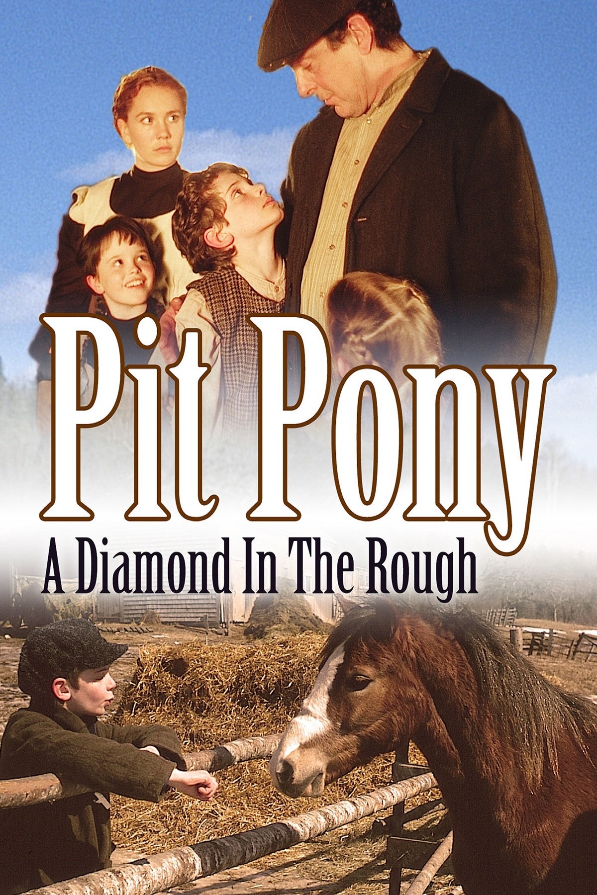 Pit Pony photo