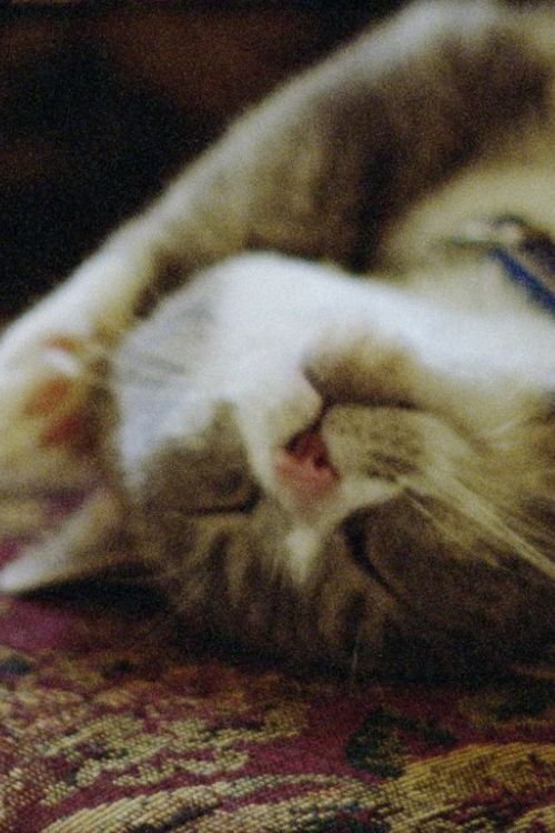 Pitcher of Colored Light photo