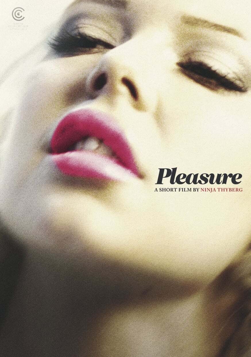Pleasure photo