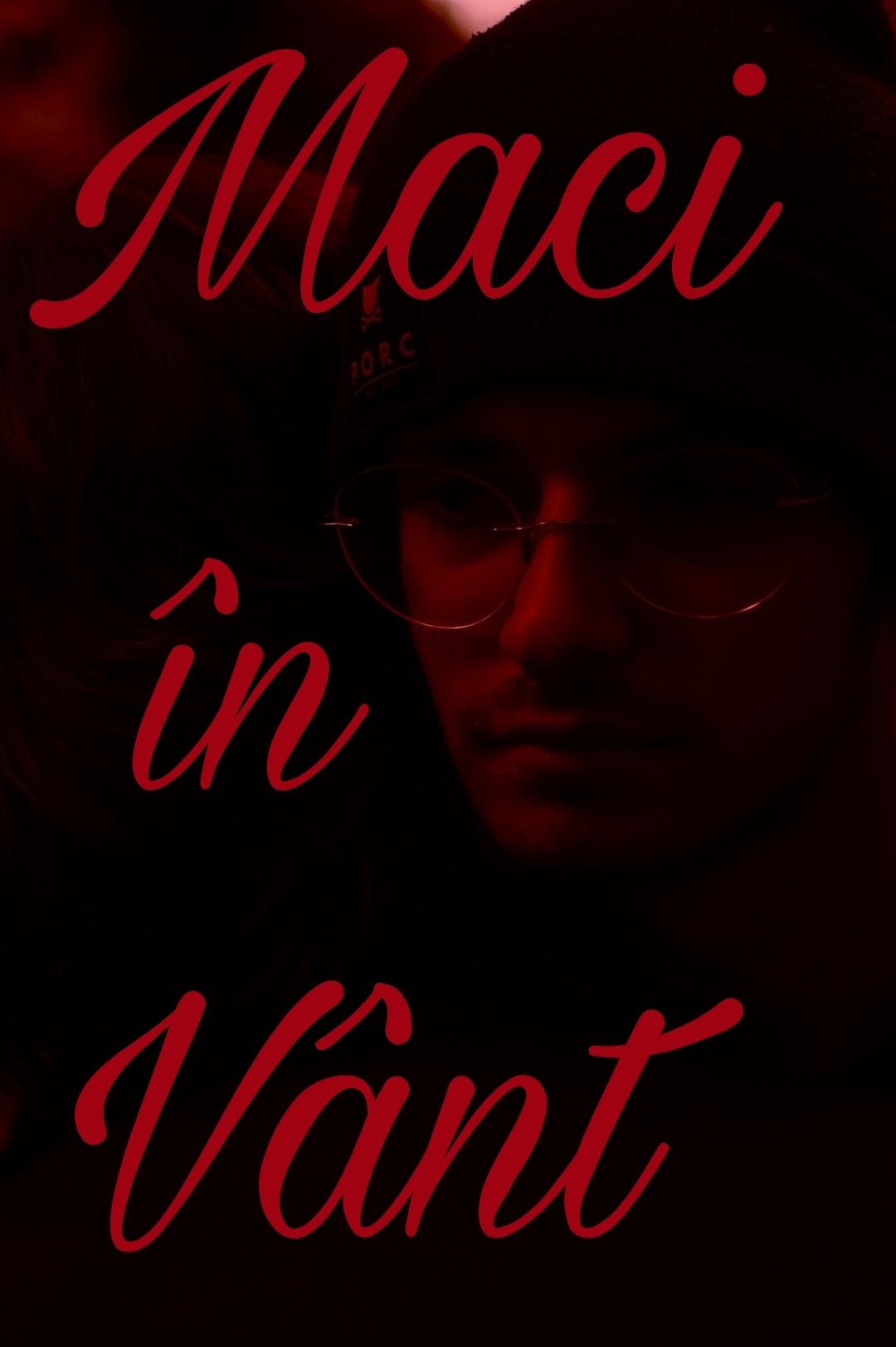 Poppies in Wind photo