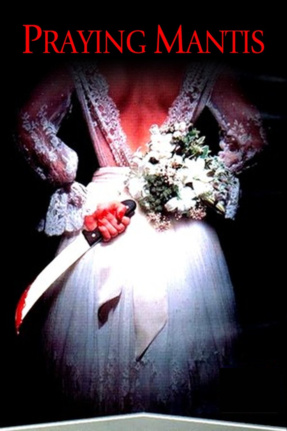 Praying Mantis photo