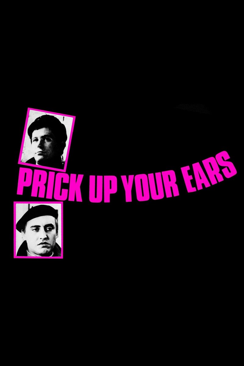 Prick Up Your Ears photo