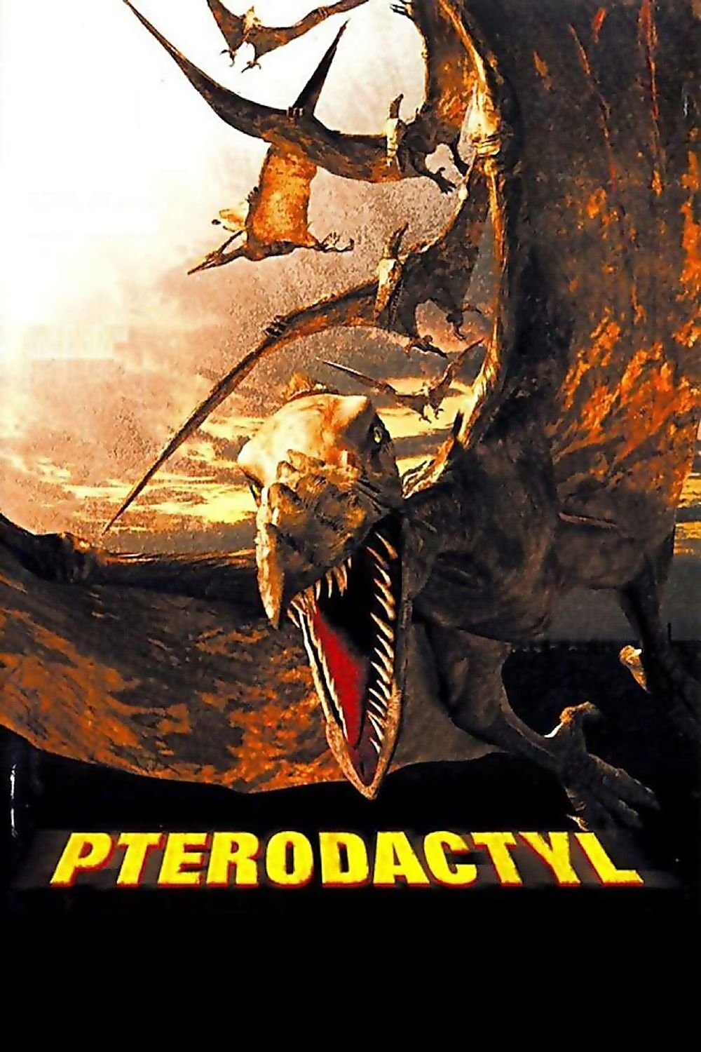 Pterodactyl photo