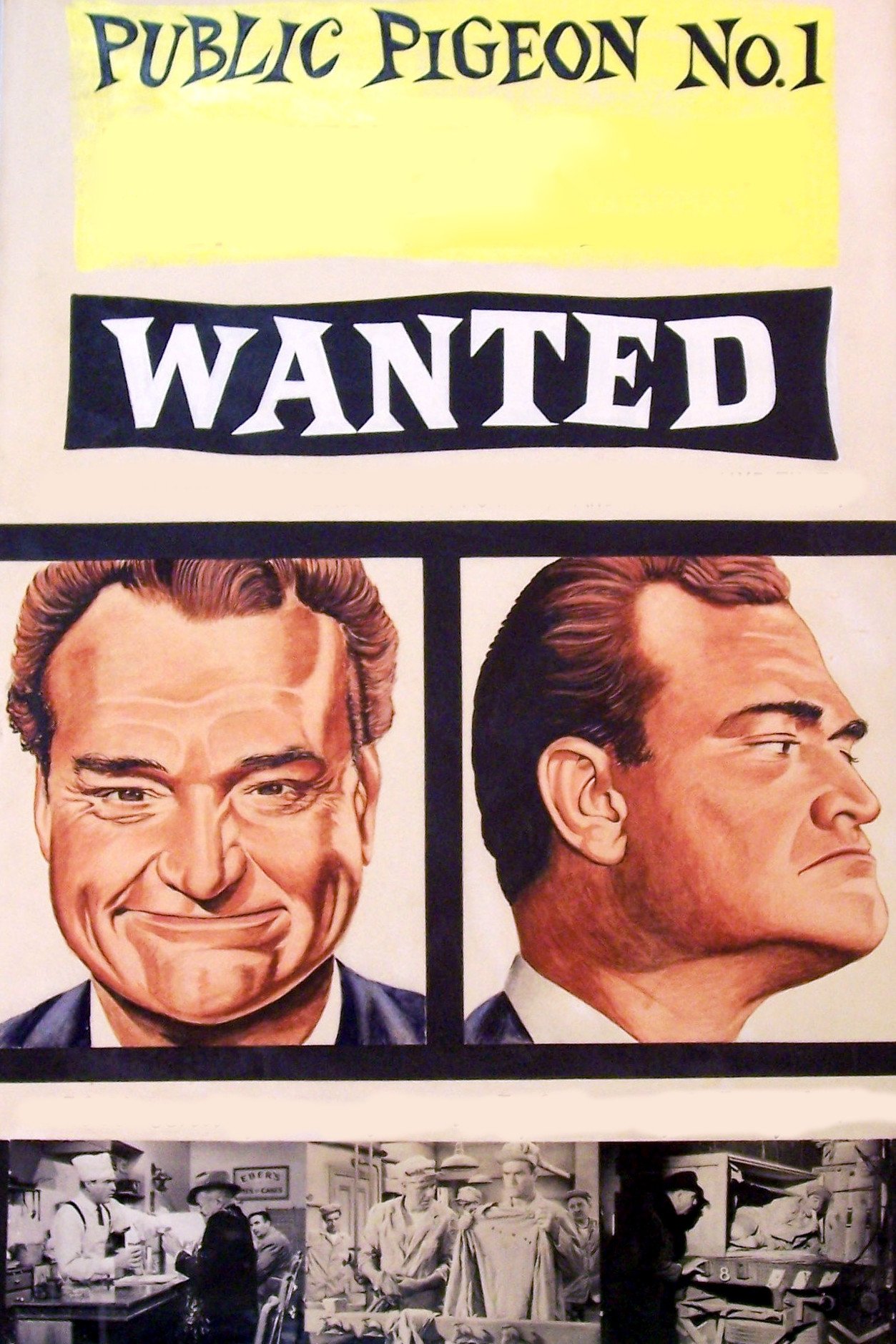 Public Pigeon No. 1 photo