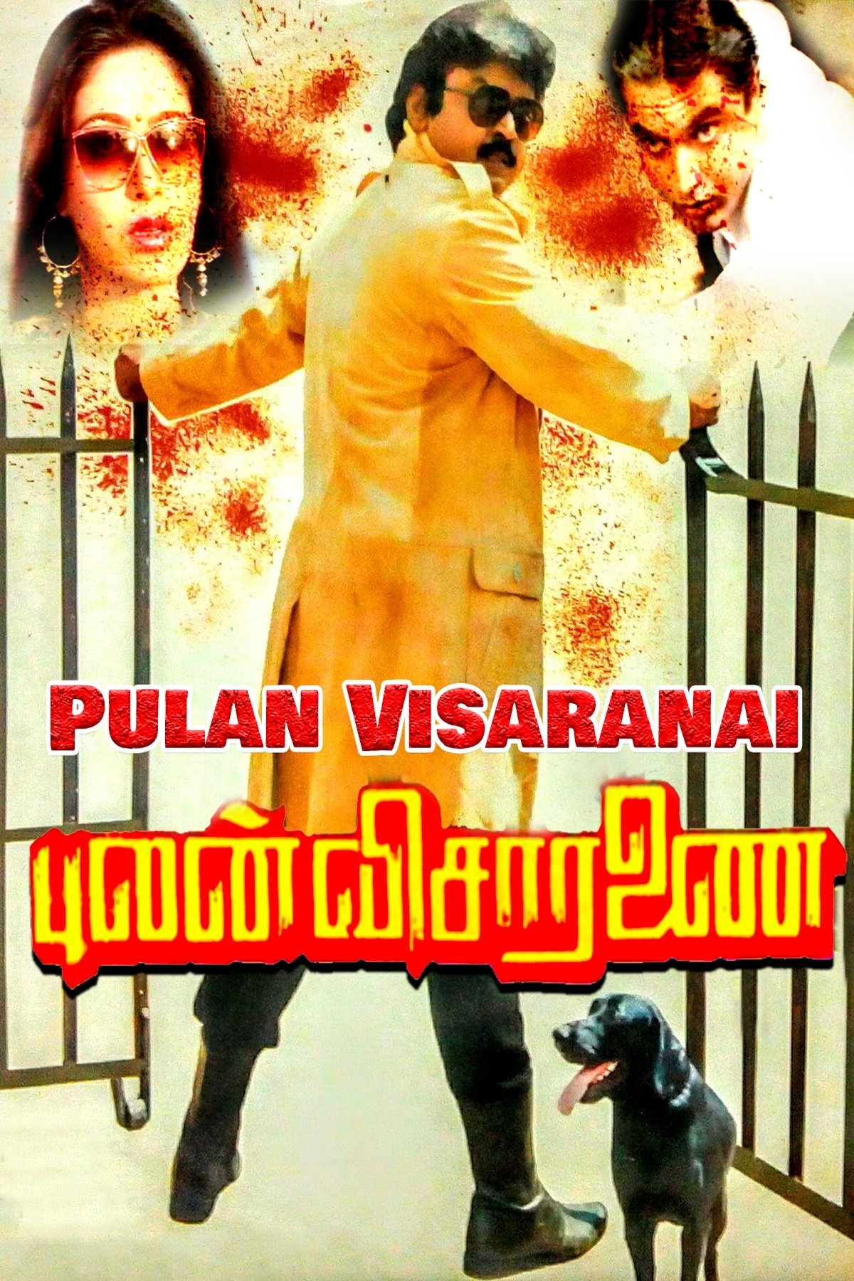 Pulan Visaranai photo