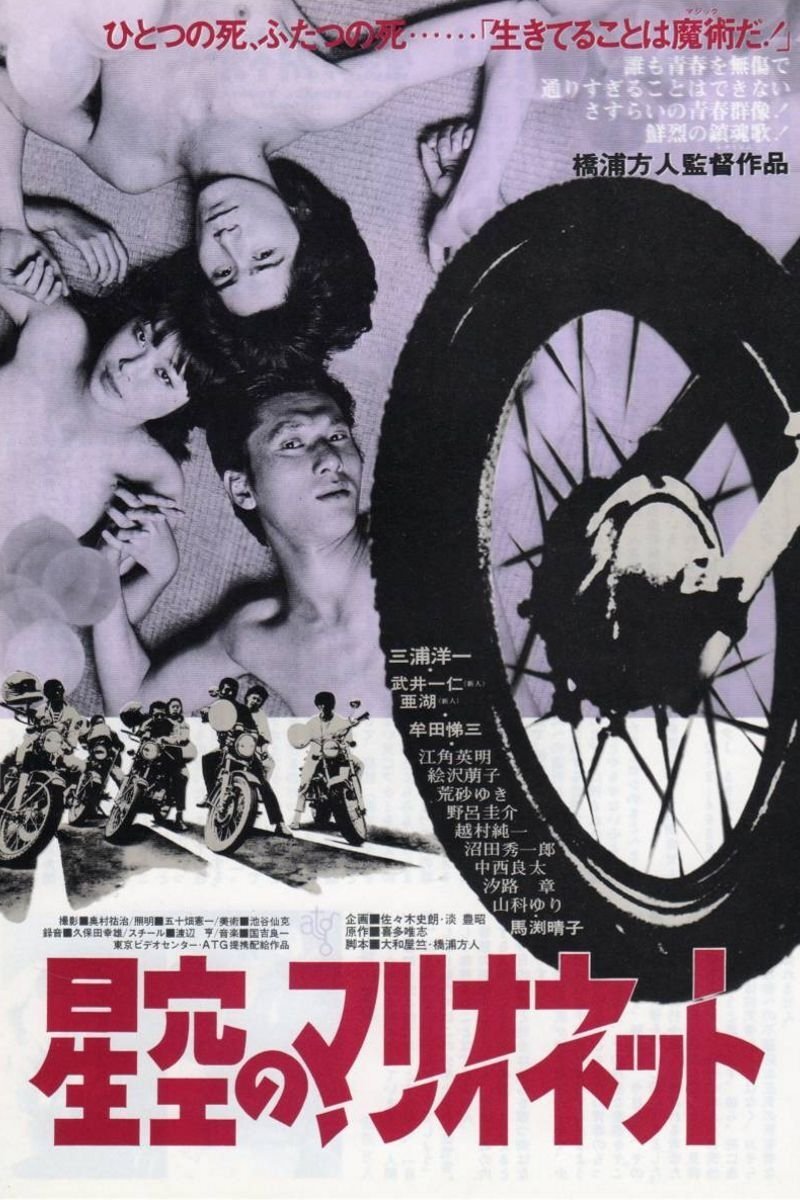 Puppets Under Starry Skies photo