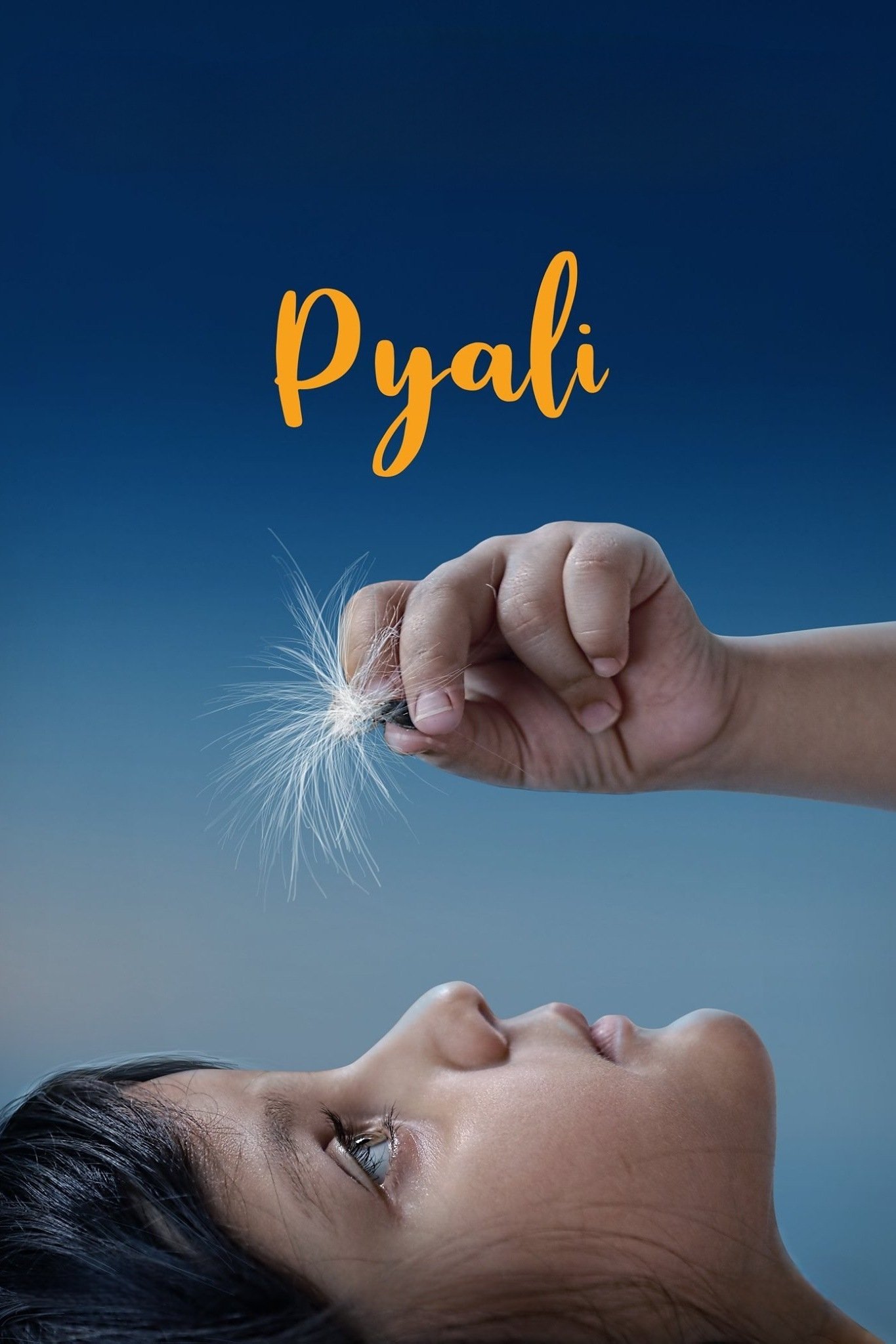 Pyali photo