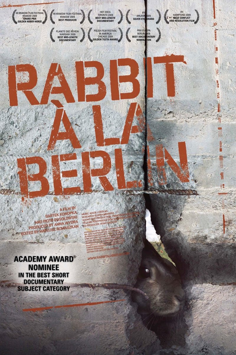 Rabbit à la Berlin photo