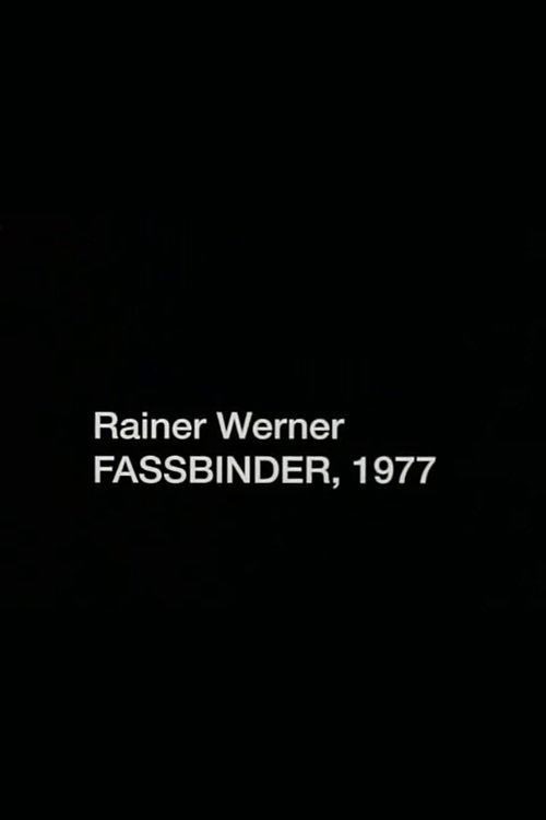 Rainer Werner Fassbinder, 1977 photo