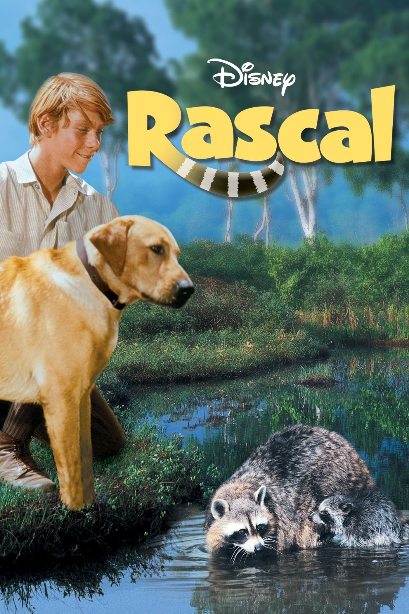 Rascal photo