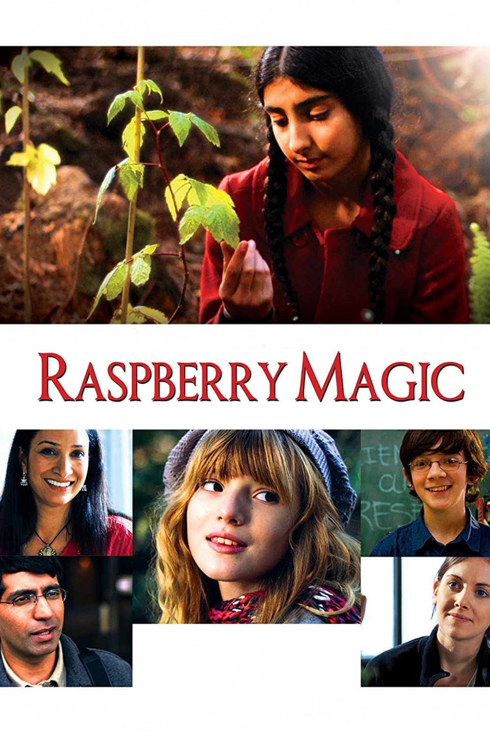 Raspberry Magic photo