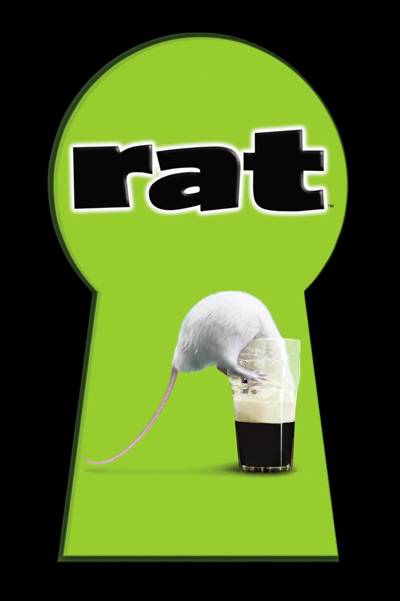 Rat photo