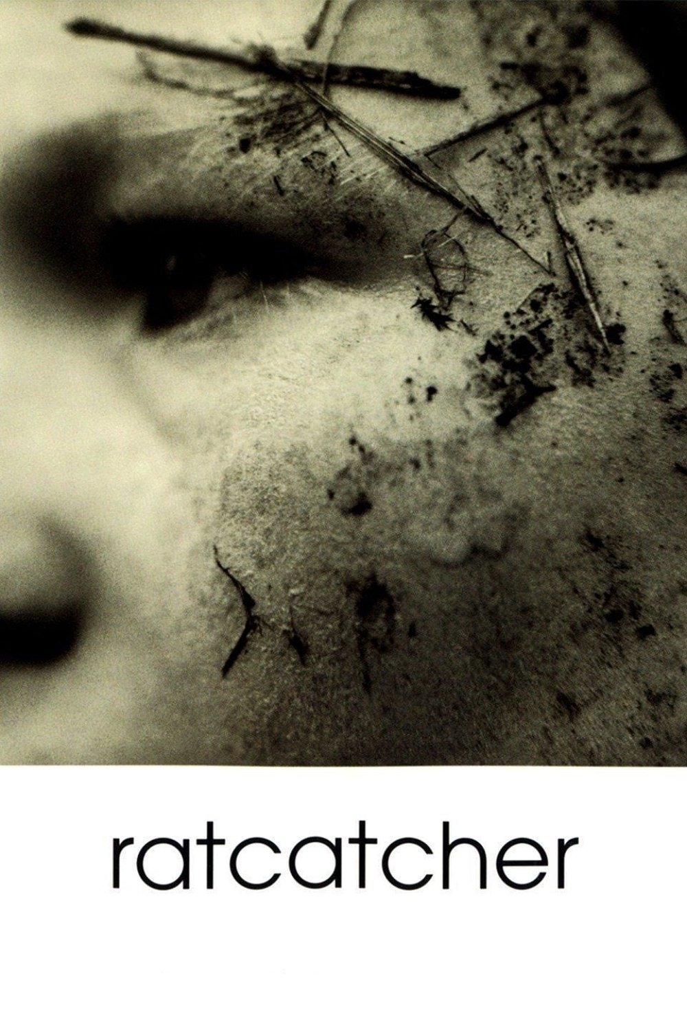 Ratcatcher photo