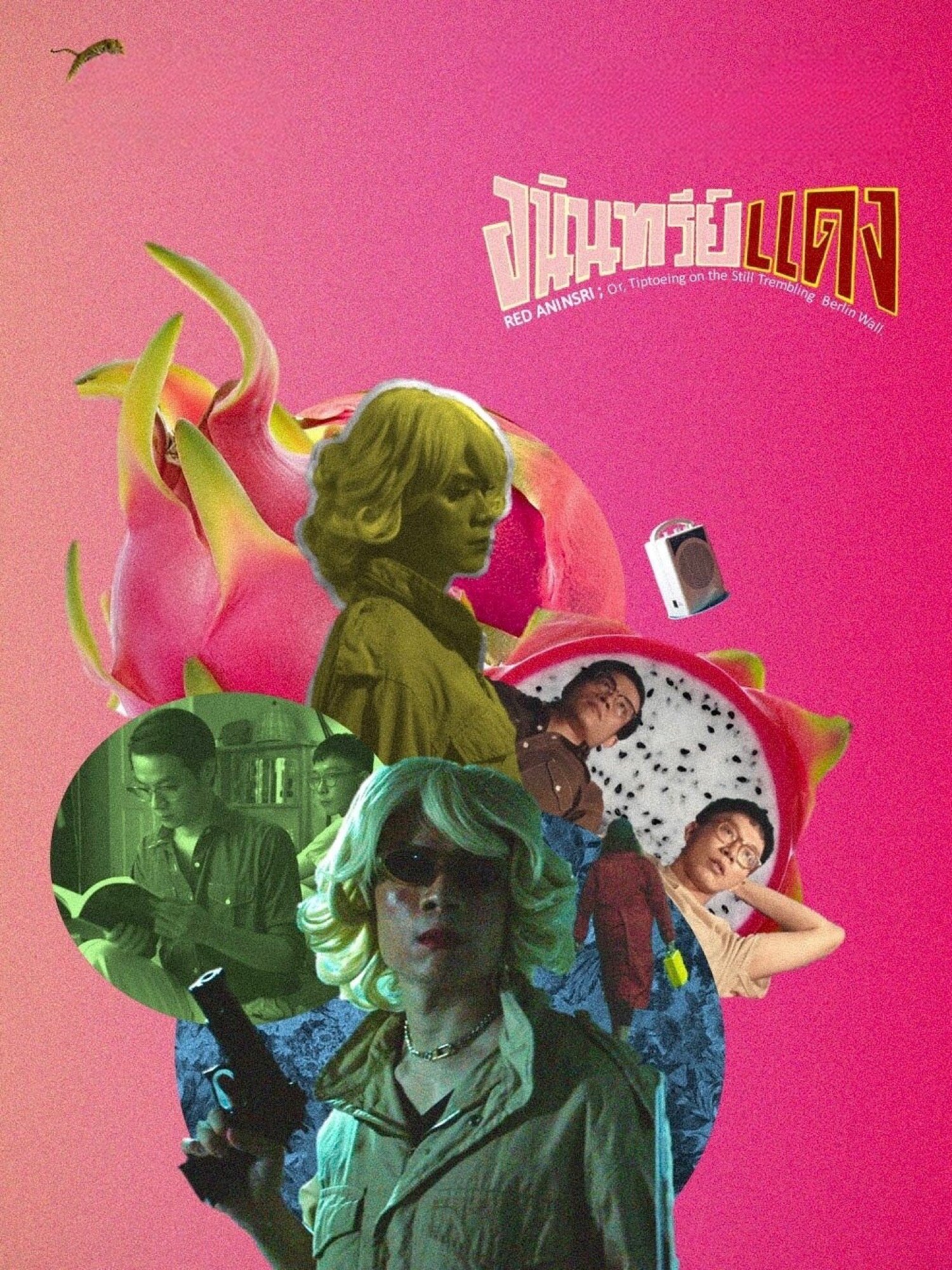 Red Aninsri; Or, Tiptoeing on the Still Trembling Berlin Wall photo