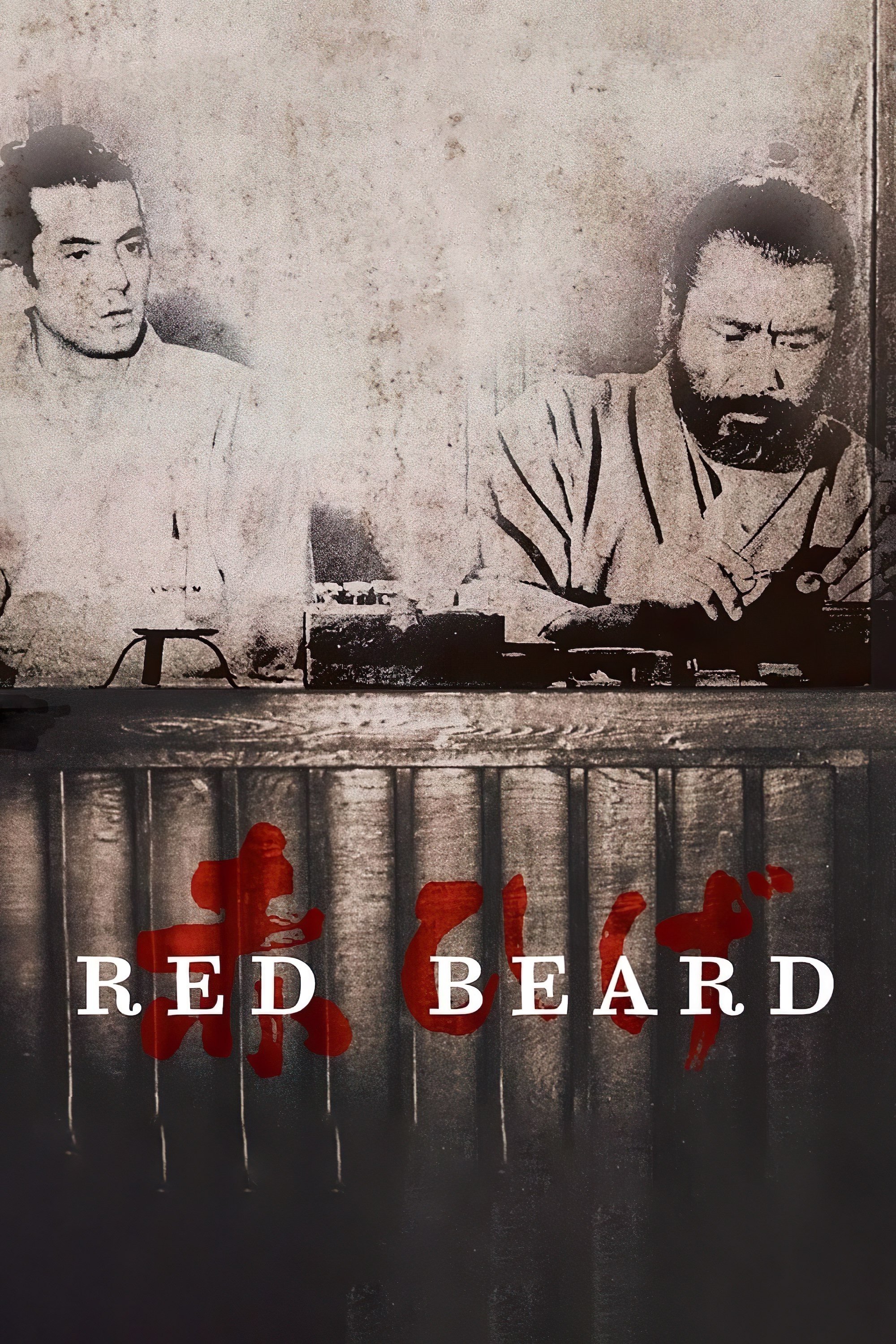 Red Beard photo