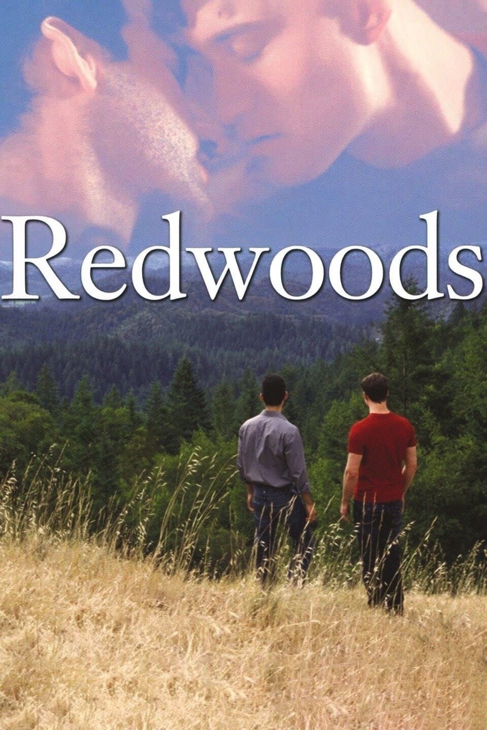 Redwoods photo