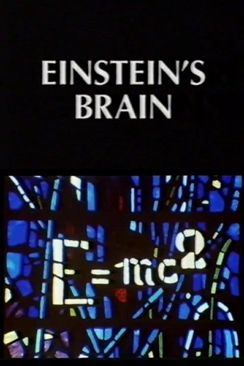 Relics: Einstein's Brain photo
