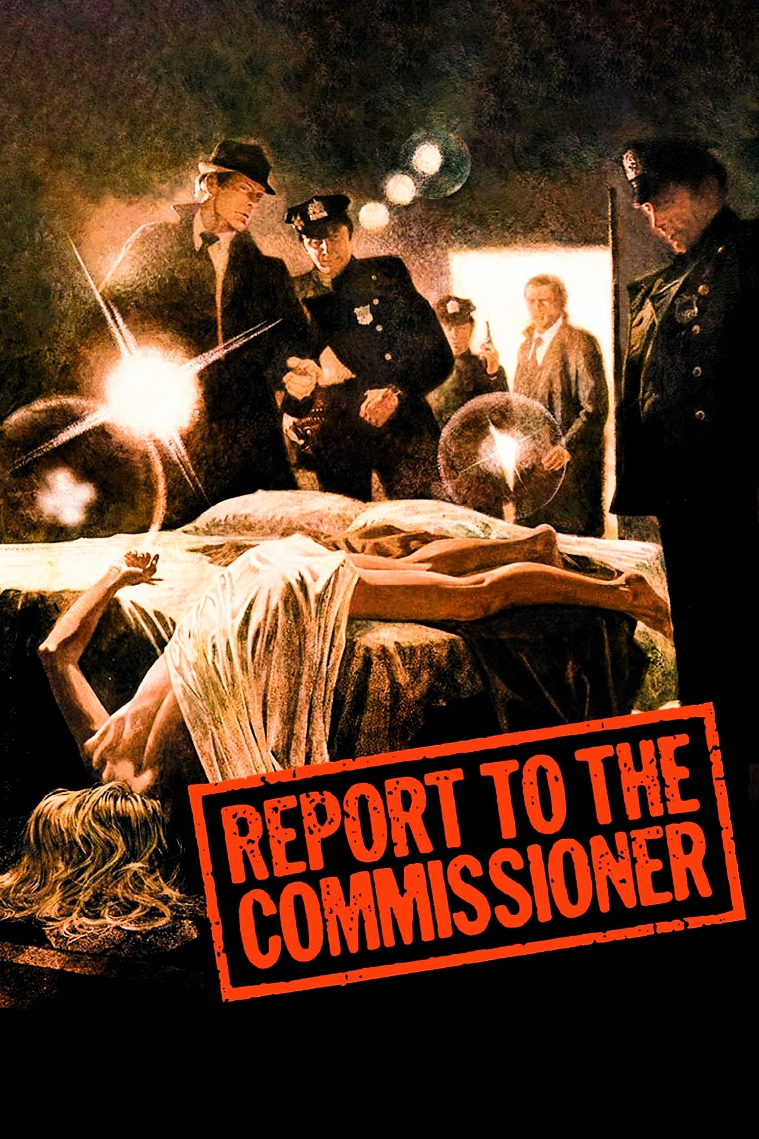 Report to the Commissioner photo