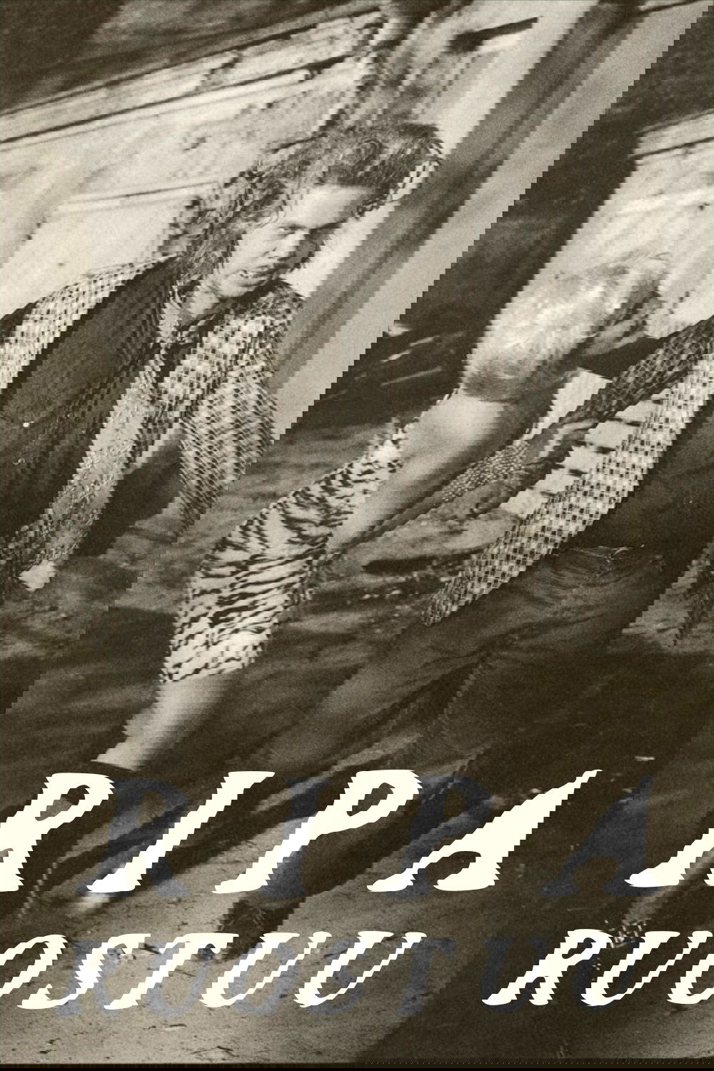 Ripa Hits the Skids photo