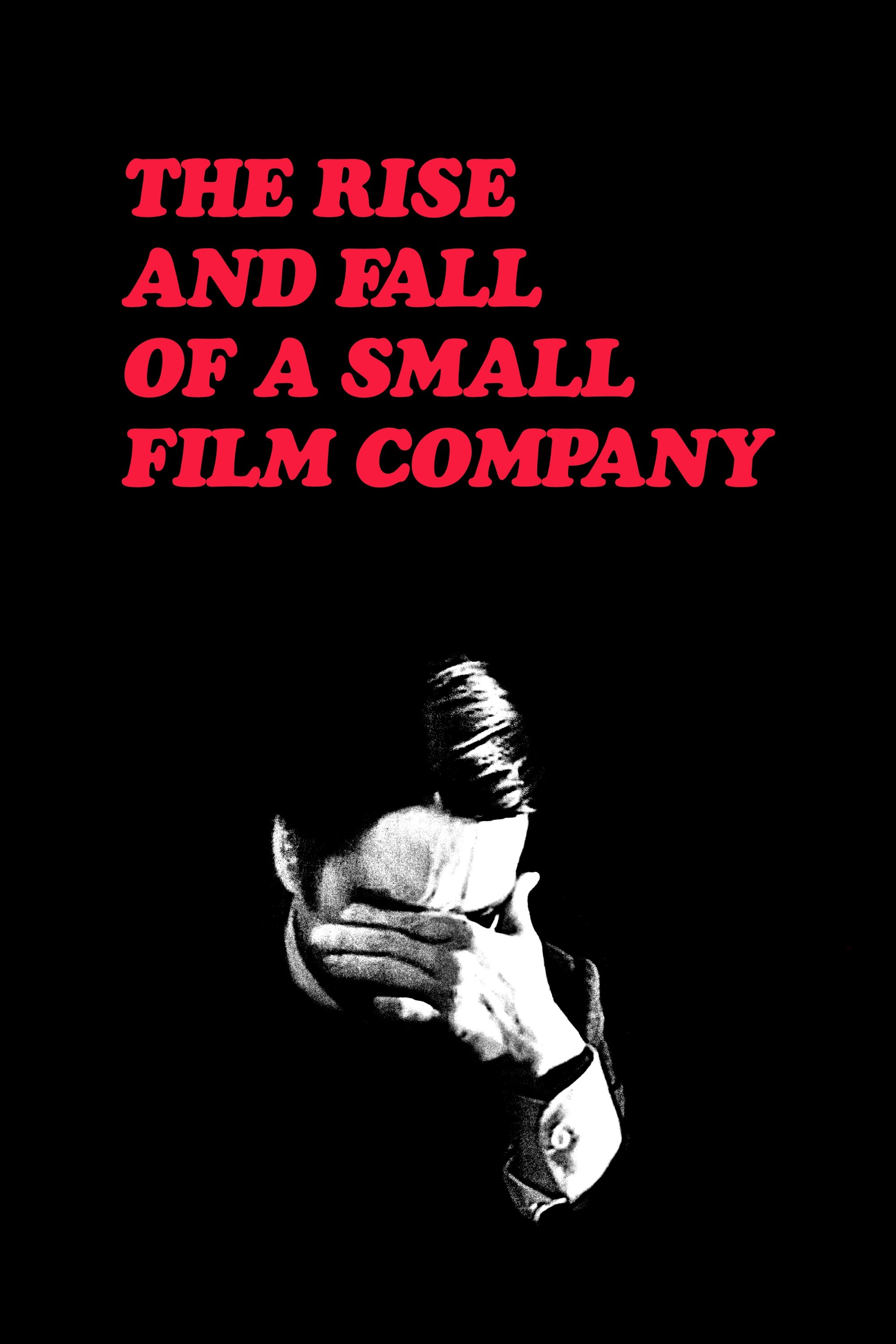 Rise and Fall of a Small Film Company photo