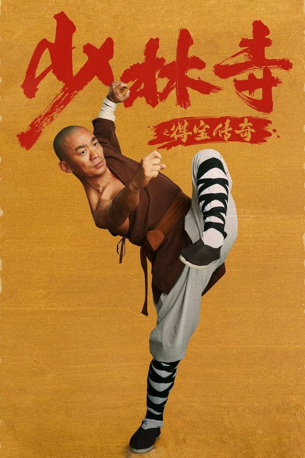 Rising Shaolin: The Protector photo
