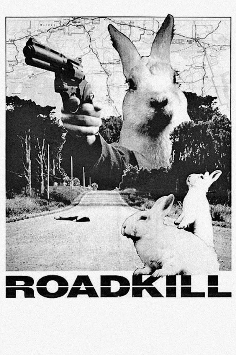 Roadkill photo
