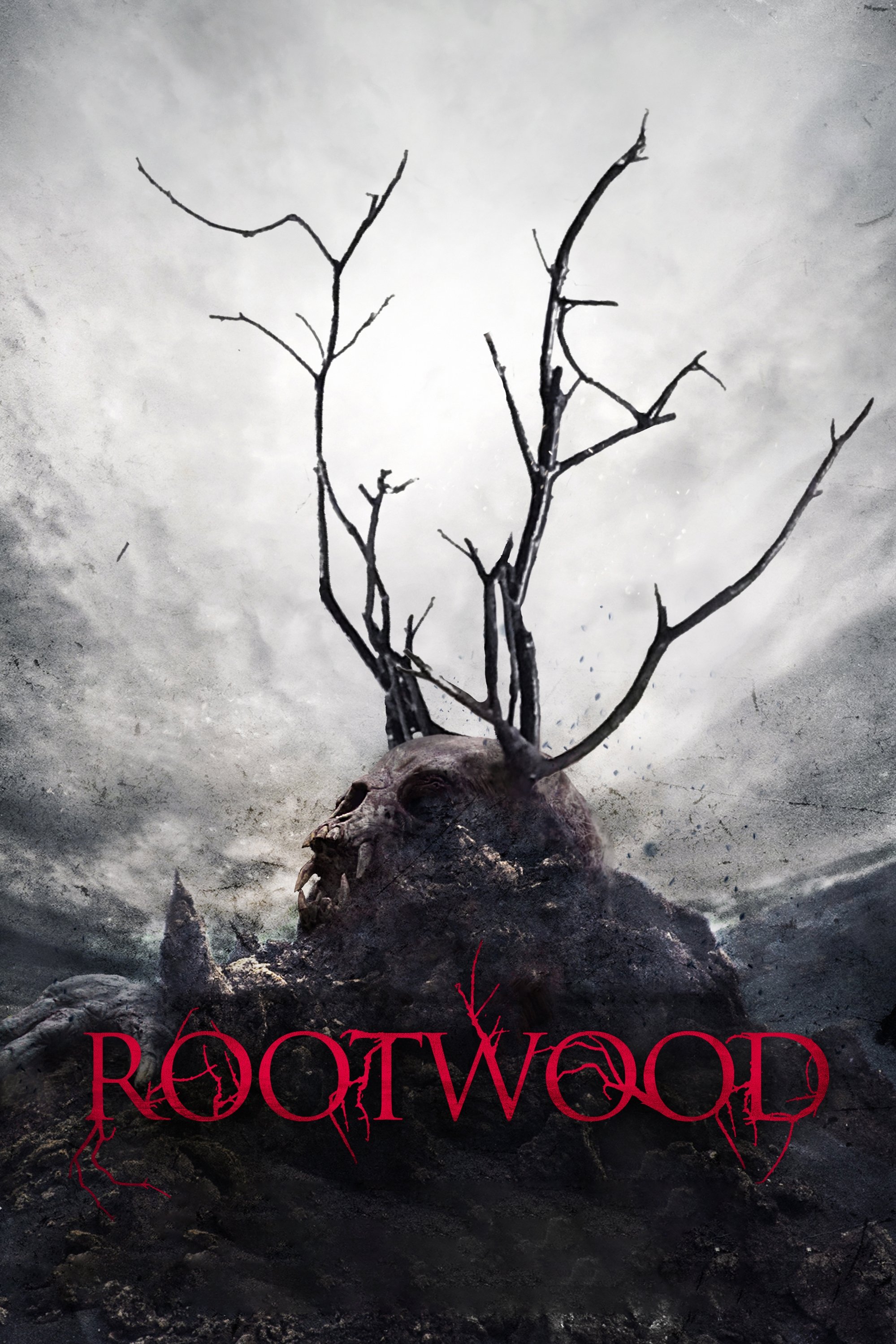 Rootwood photo