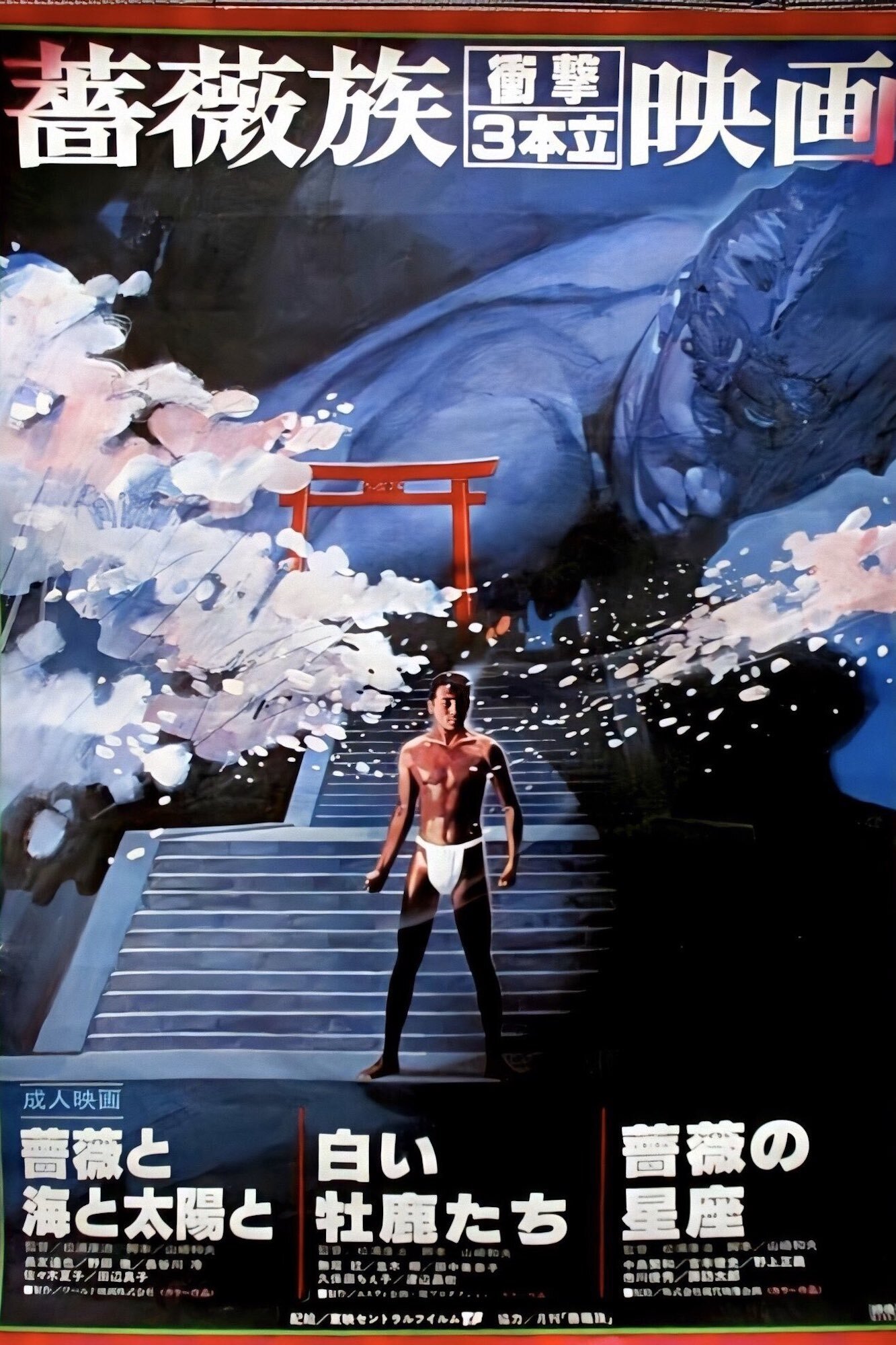 Roses, the Sea and the Sun photo