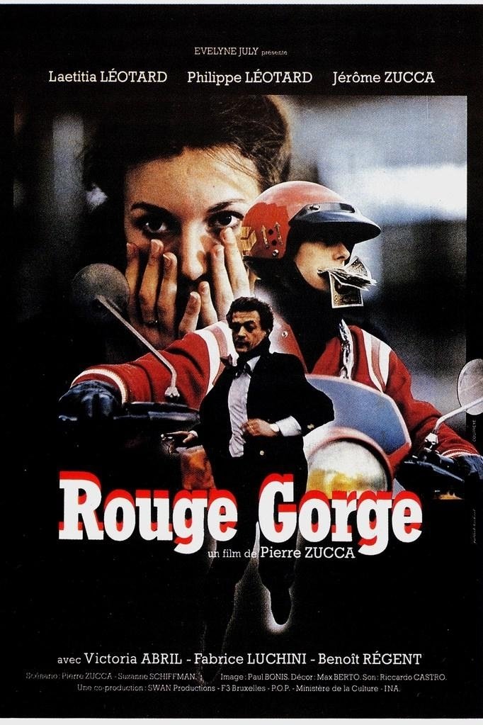 Rouge-gorge photo