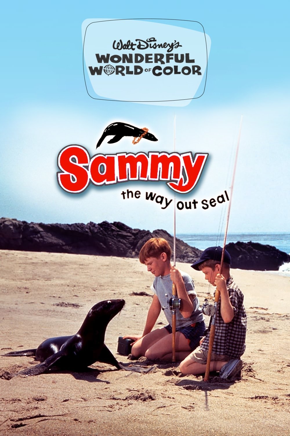 Sammy, the Way-Out Seal photo