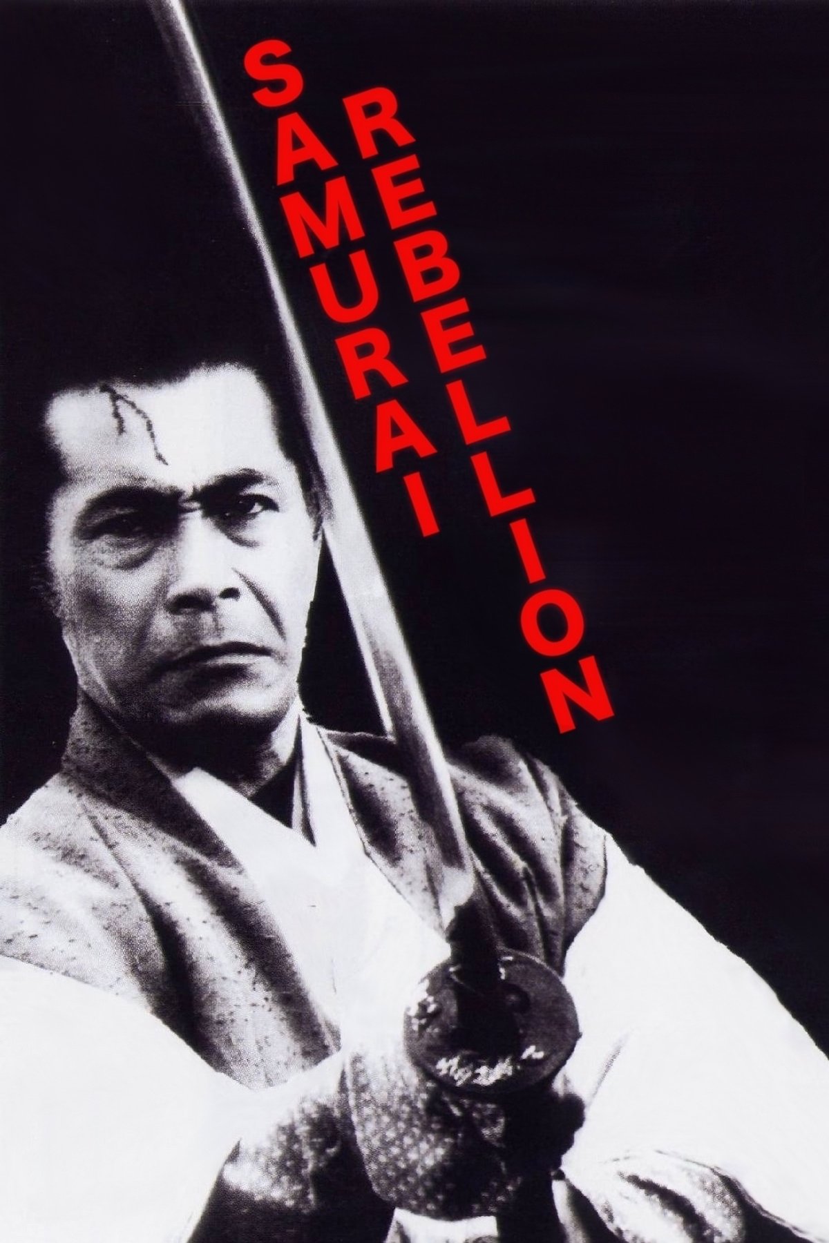 Samurai Rebellion photo