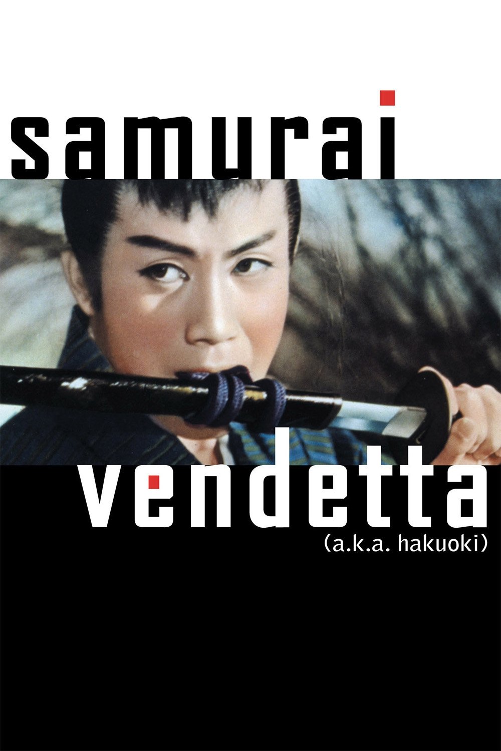 Samurai Vendetta photo