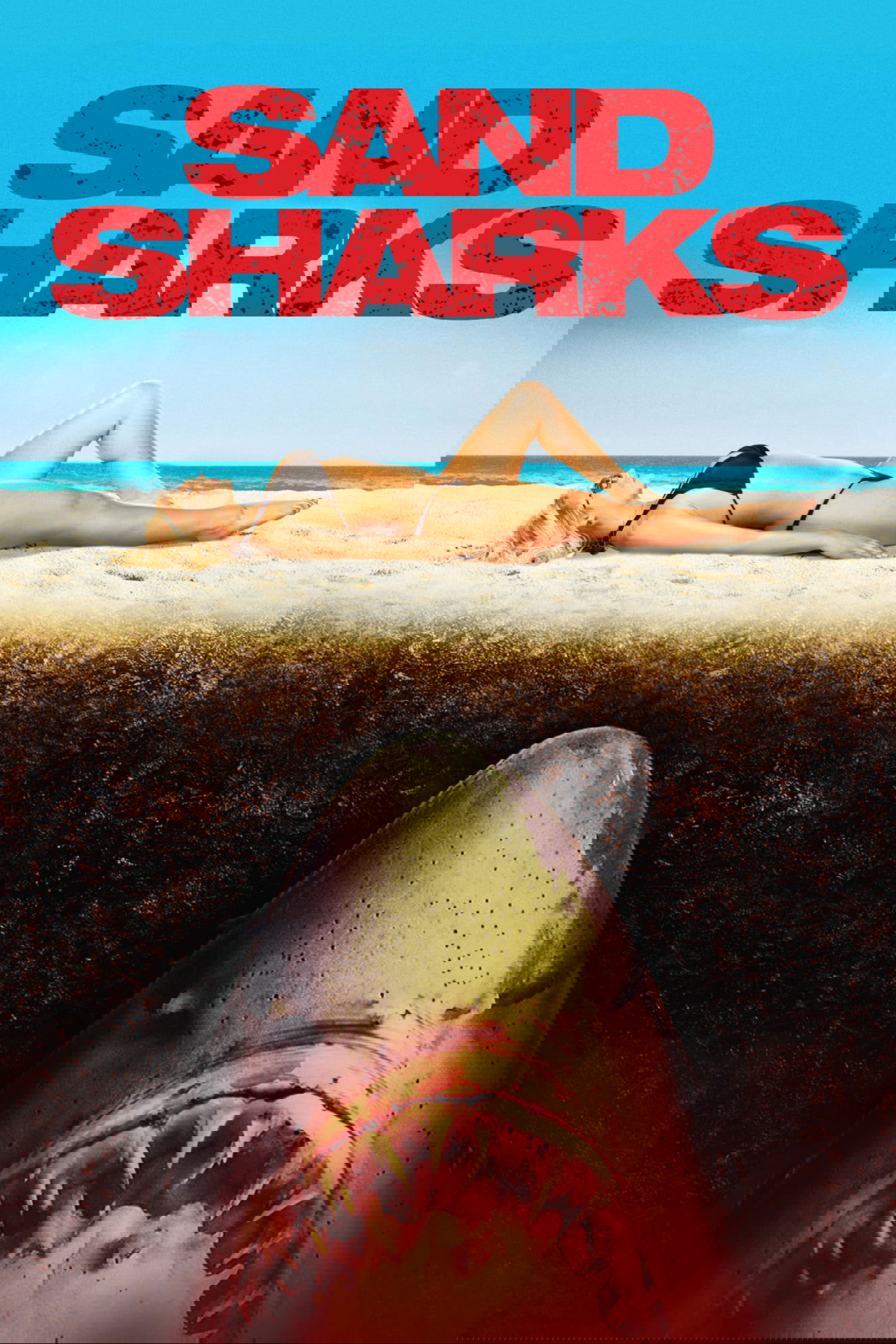 Sand Sharks photo