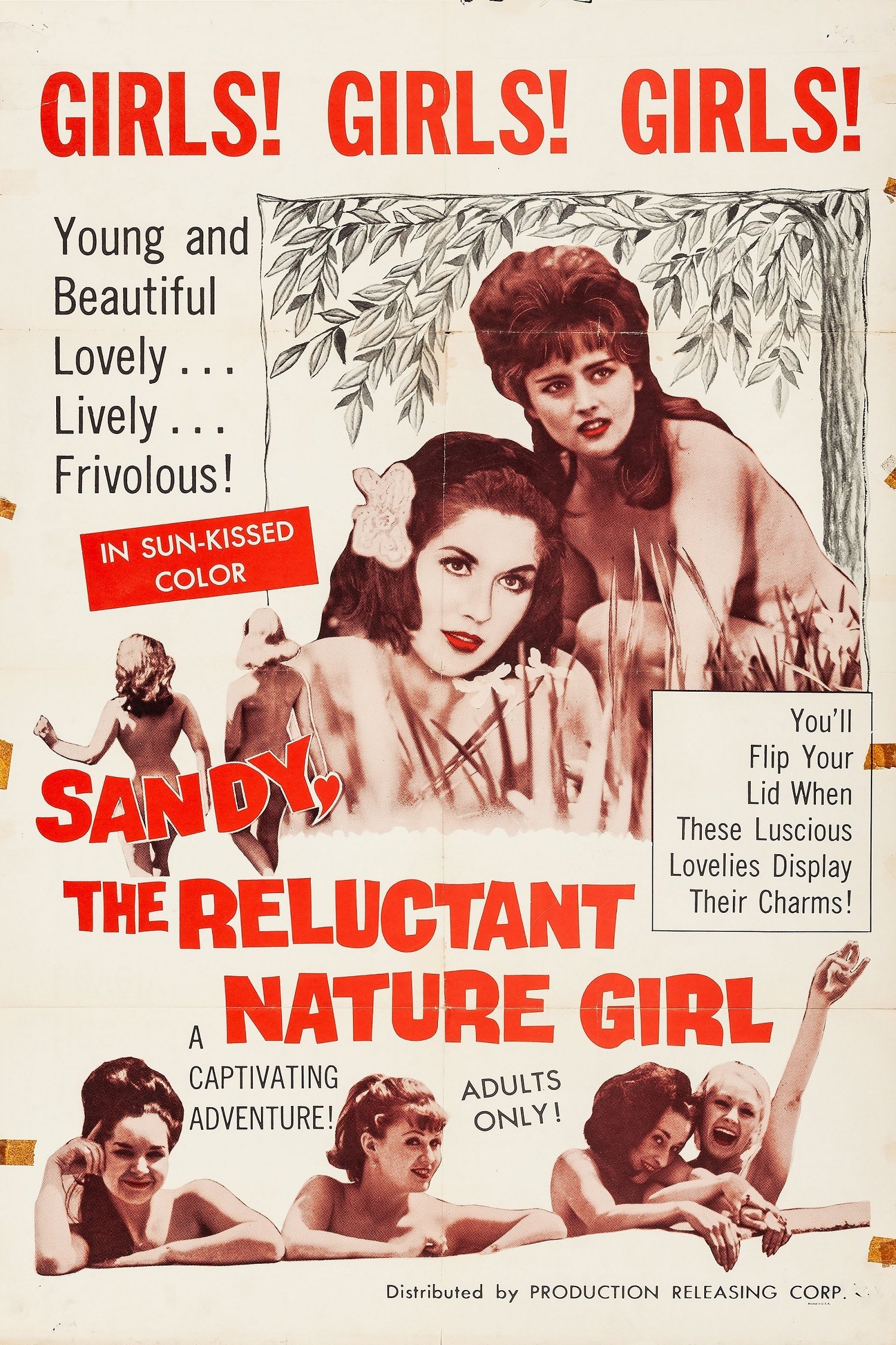 Sandy, the Reluctant Nature Girl photo