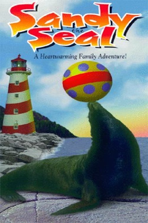 Sandy the Seal photo